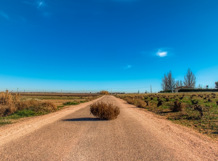 Rolling Release: openSUSE Tumbleweed