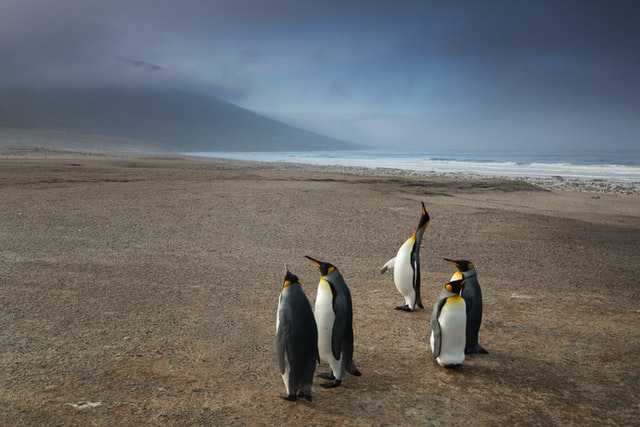 Erfahrungsberichte: Reise zu Linux von Stefan (Astro)